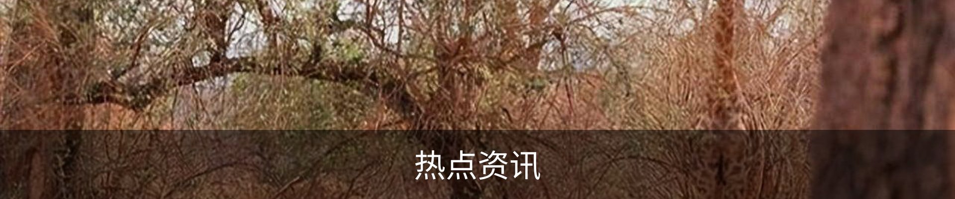 热点资讯